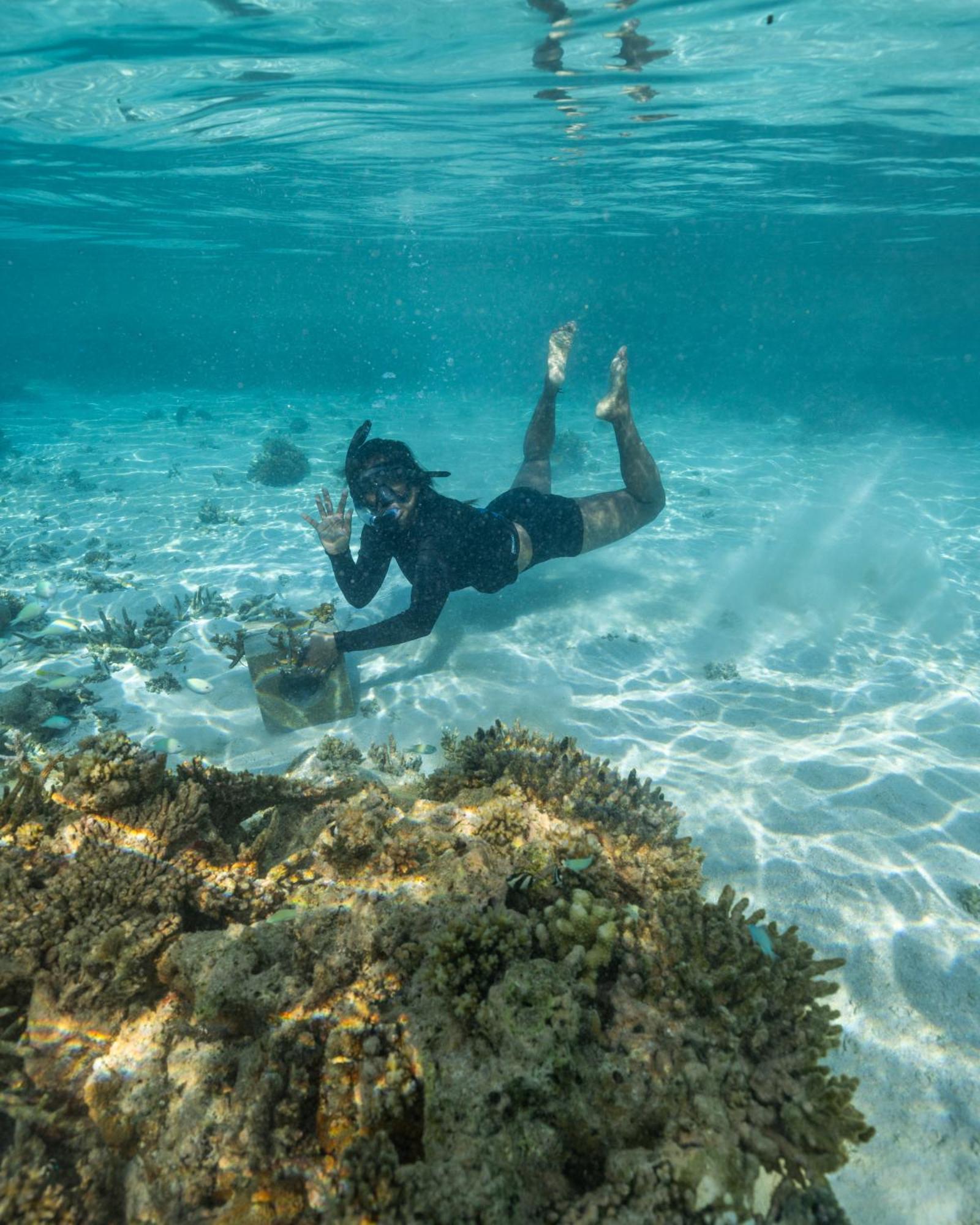 Ellaidhoo Maldives By Cinnamon